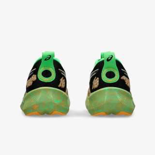 Asics NOOSA TRI 16 