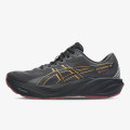 Asics GT-2000 15 GTX 