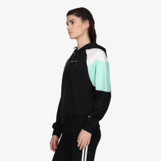 Champion Hooded Sweatshirt 