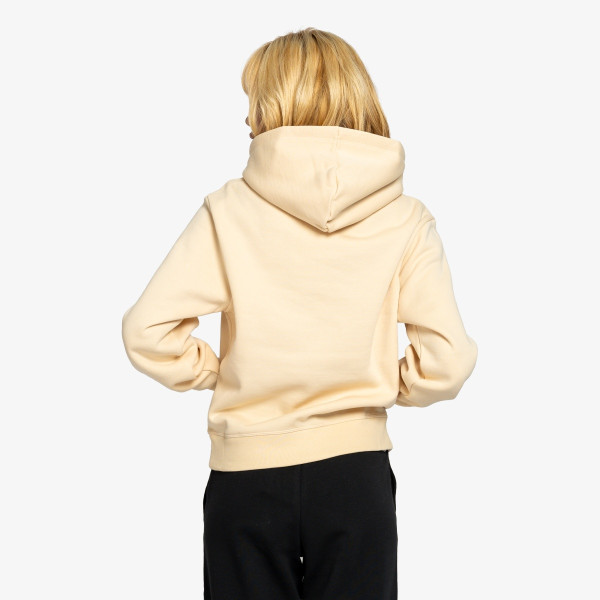 Champion Hooded Sweatshirt 