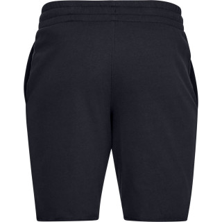 UNDER ARMOUR SPORTSTYLE TERRY SHORT 