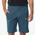 Jack Wolfskin GLASTAL SHORTS M 