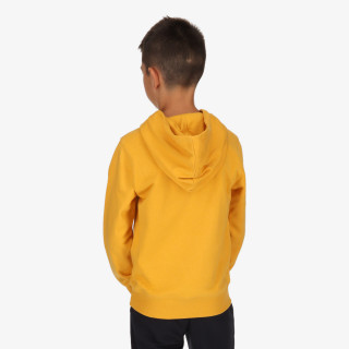 Champion BOYS MODERN BASIC HOODY 