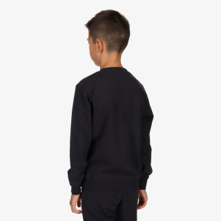 CHAMPION BOYS ROCH INSPIRED CREWNECK 