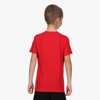 CHAMPION BOYS 1919 SET 