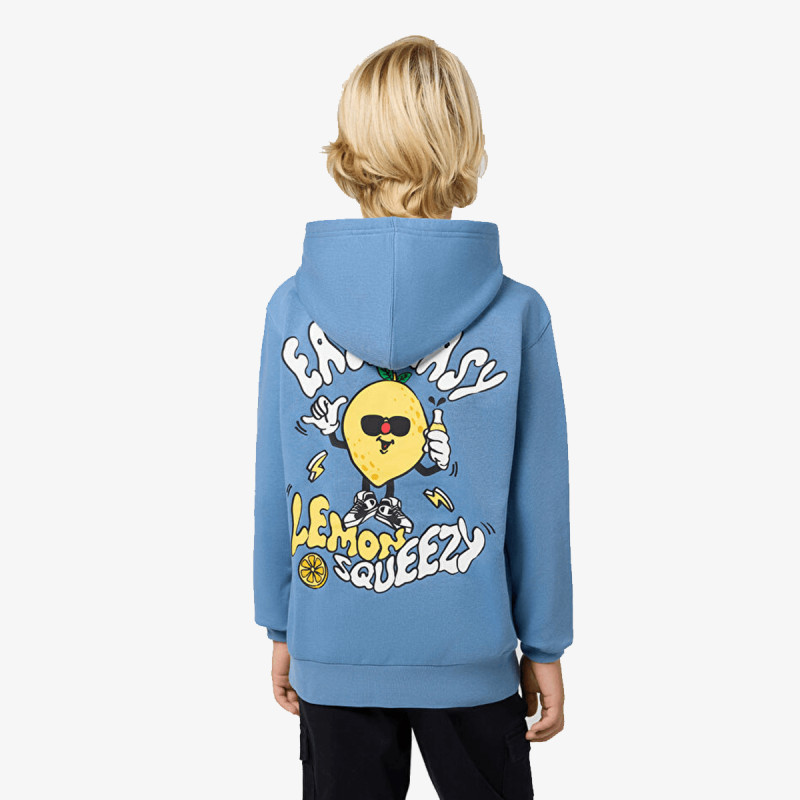 Champion Hooded Sweatshirt 