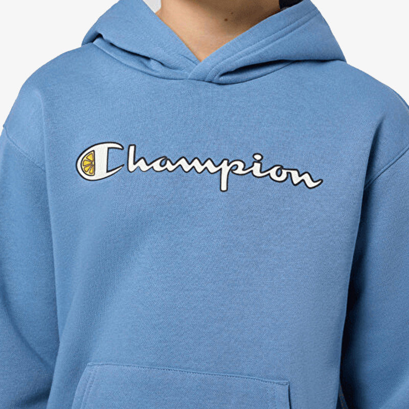 Champion Hooded Sweatshirt 