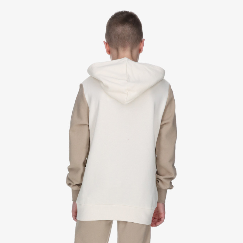 Champion Hooded Sweatshirt 