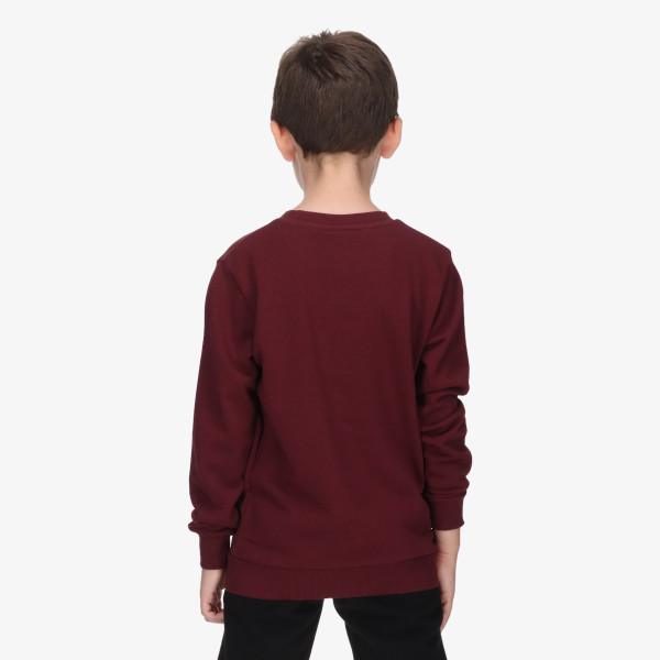 Champion SKATE LIFE CREWNECK 