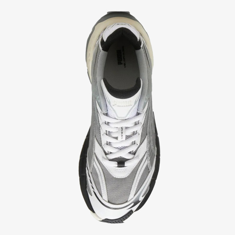 Puma Velophasis Born in the 2000s 