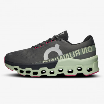 On Cloudmonster 2 