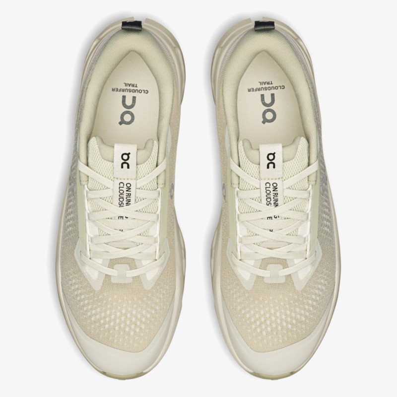 On Cloudsurfer Trail 2 