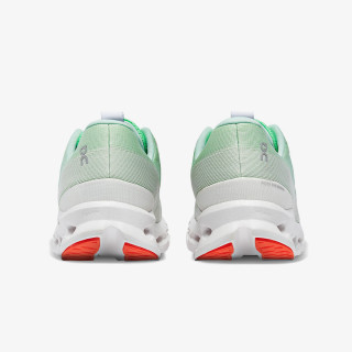 On Cloudsurfer 