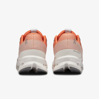 On Cloudsurfer 