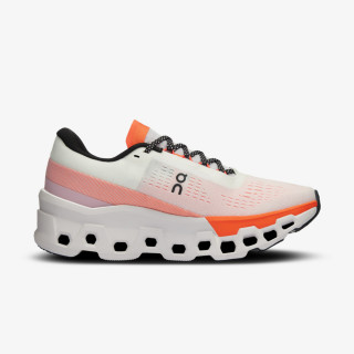 On Cloudmonster 2 