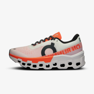 On Cloudmonster 2 