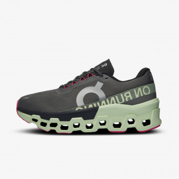 On Cloudmonster 2 