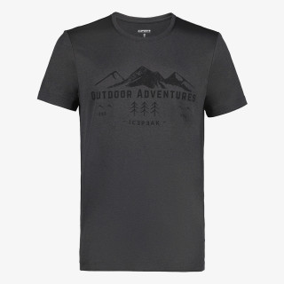 Icepeak ICEPEAK BEARDENM T-SHIRT 