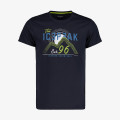 Icepeak BRIARCLIFF 