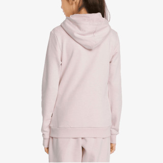 Puma ESS LOGO HOODIE TR G 