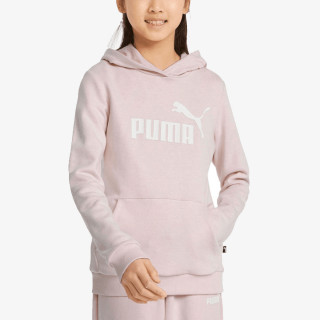 Puma ESS LOGO HOODIE TR G 