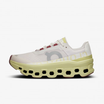 On Cloudmonster 