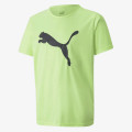 Puma INDIVIDUALRISE LOGO TEE JR FIZZY LIGHT-P 