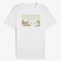 Puma Graphics 