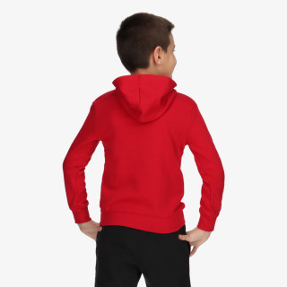 JDB JORDAN HBR FLC PO HOODIE 