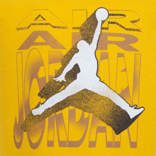 JORDAN JDB AIR 2 3D FT SHORT SET 