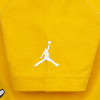 JORDAN JDB AIR 2 3D FT SHORT SET 