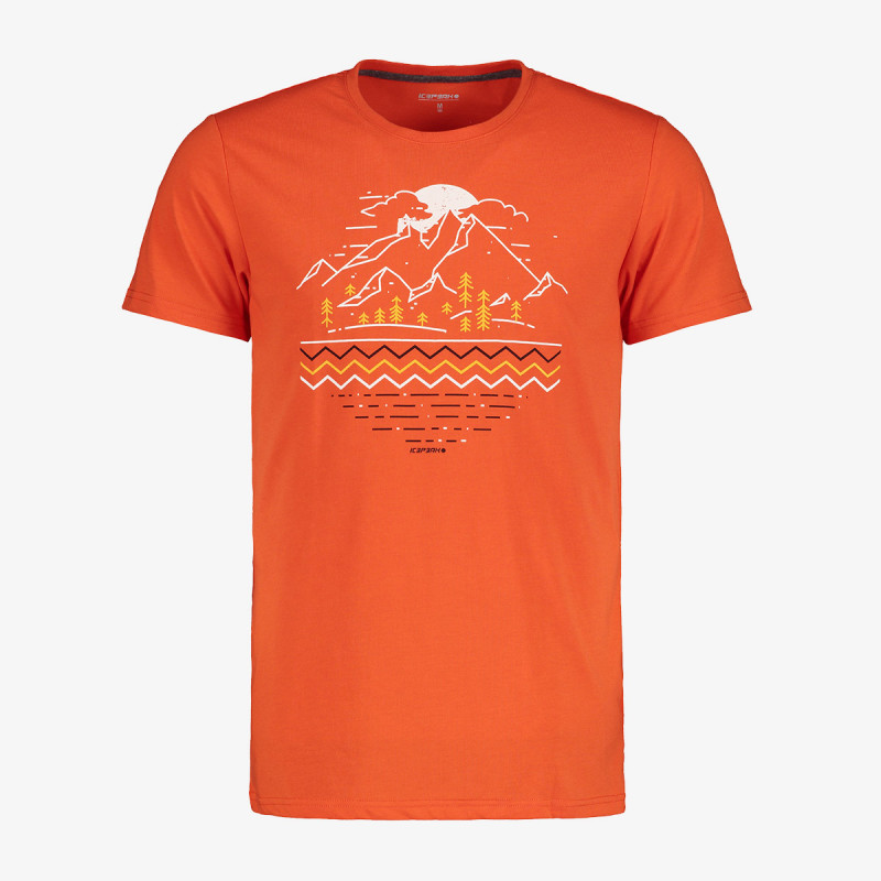 Icepeak BRIAROAKS 