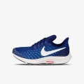 Nike NIKE AIR ZOOM PEGASUS 35 (GS) 