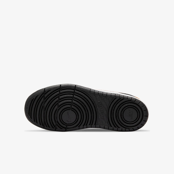 Nike Court Borough Low 2 