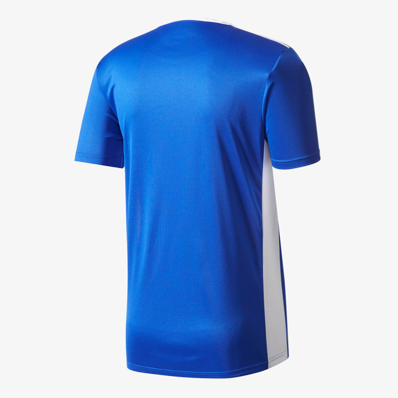adidas ENTRADA 18 