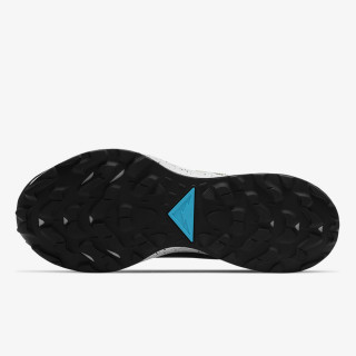 Nike NIKE PEGASUS TRAIL 2 