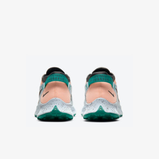 Nike W NIKE PEGASUS TRAIL 2 