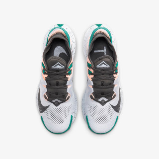 Nike W NIKE PEGASUS TRAIL 2 