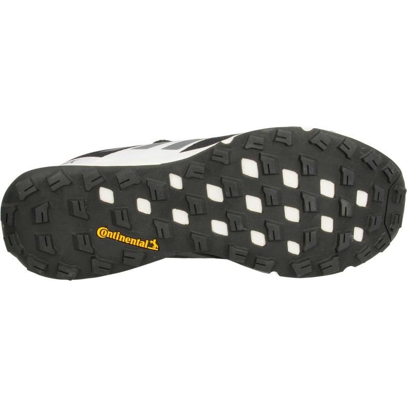 adidas TERREX TWO BOA 