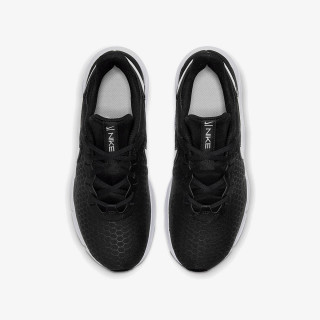 Nike Legend 