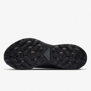 Nike W NIKE PEGASUS TRAIL 2 GTX 