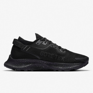 Nike W NIKE PEGASUS TRAIL 2 GTX 