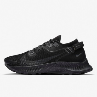 Nike W NIKE PEGASUS TRAIL 2 GTX 