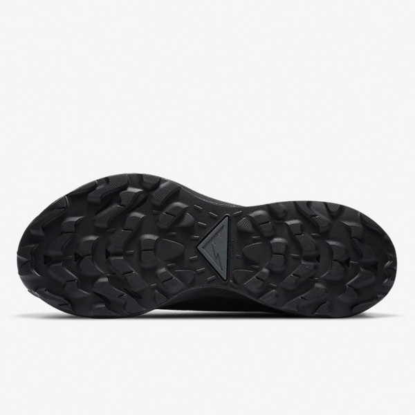Nike W NIKE PEGASUS TRAIL 2 GTX 