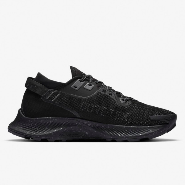 Nike W NIKE PEGASUS TRAIL 2 GTX 