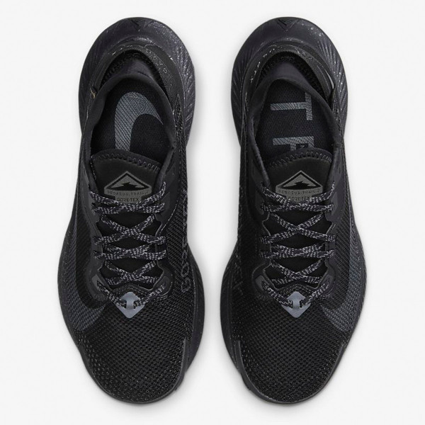 Nike W NIKE PEGASUS TRAIL 2 GTX 