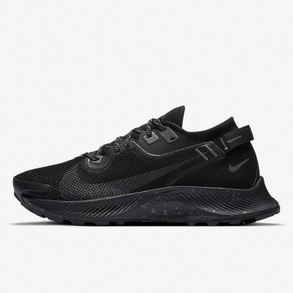 Nike W NIKE PEGASUS TRAIL 2 GTX 