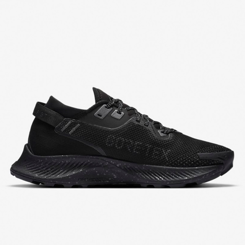 Nike W NIKE PEGASUS TRAIL 2 GTX 