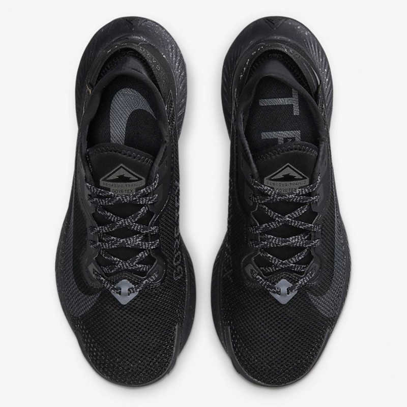Nike W NIKE PEGASUS TRAIL 2 GTX 