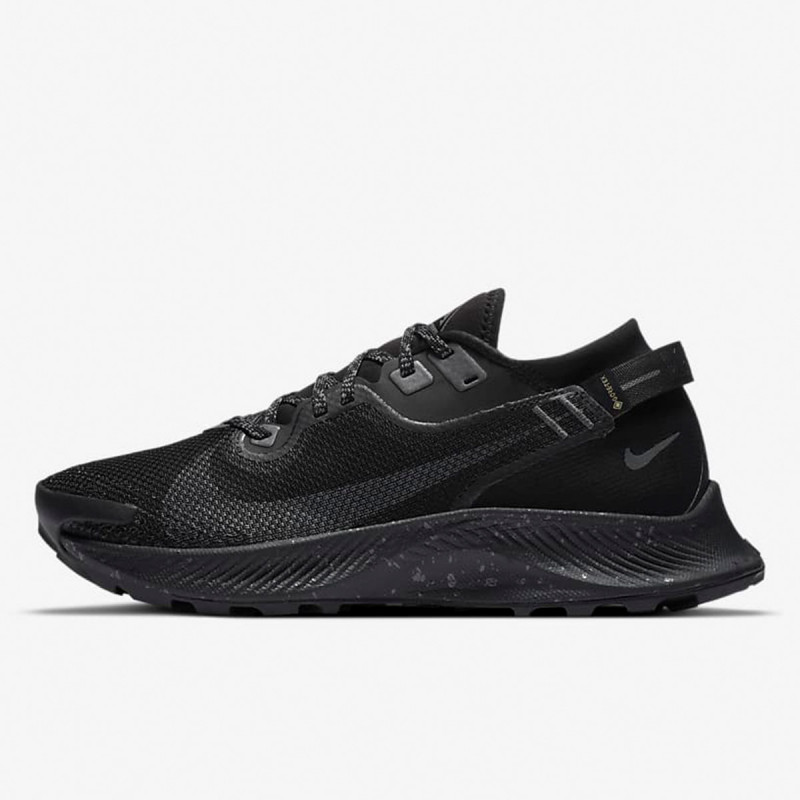 Nike W NIKE PEGASUS TRAIL 2 GTX 